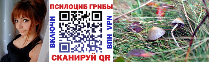 Псилоцибиновые грибы ЛСД  дарнет шоп  Тихорецк 